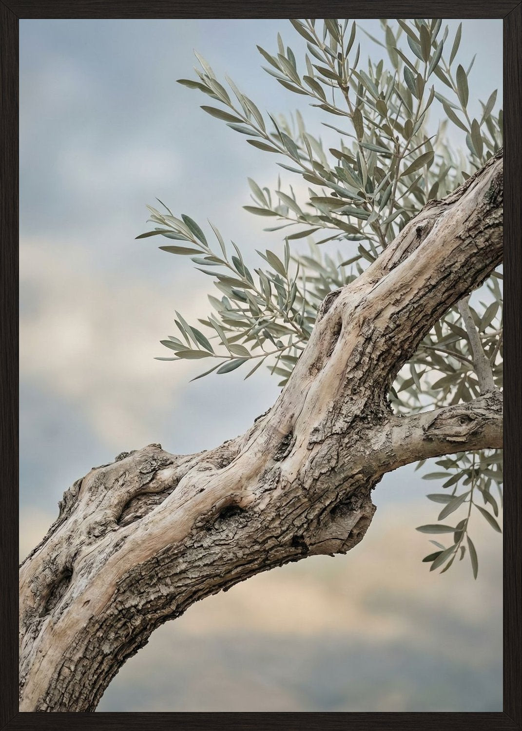 Poster in black frame