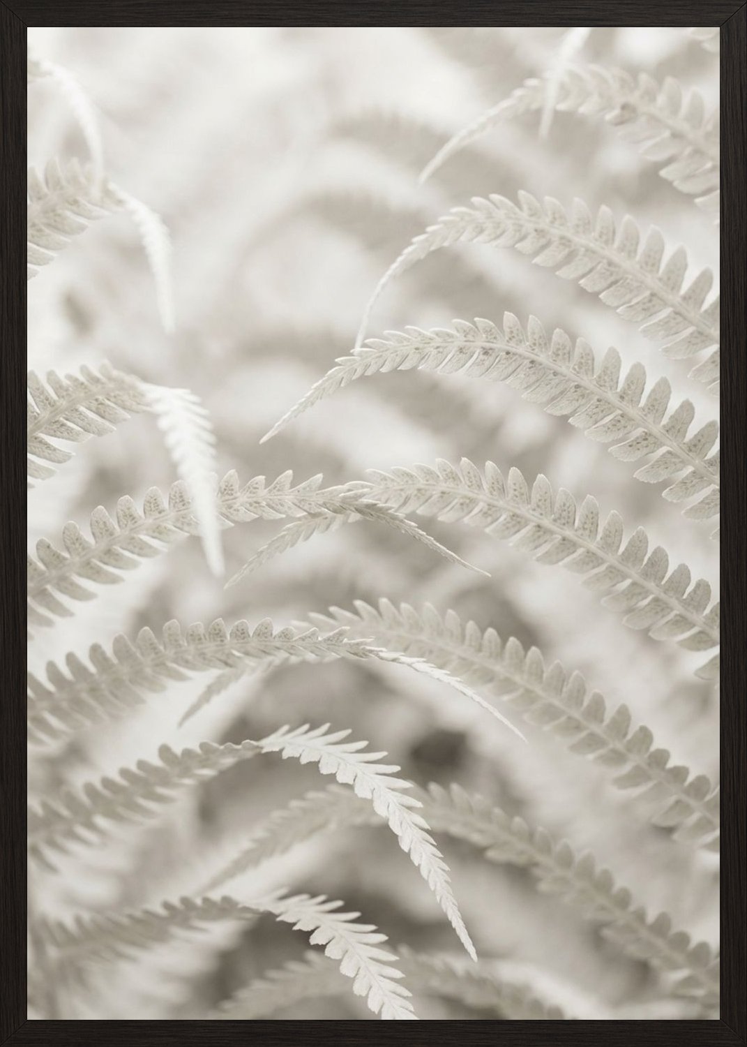 Poster in black frame