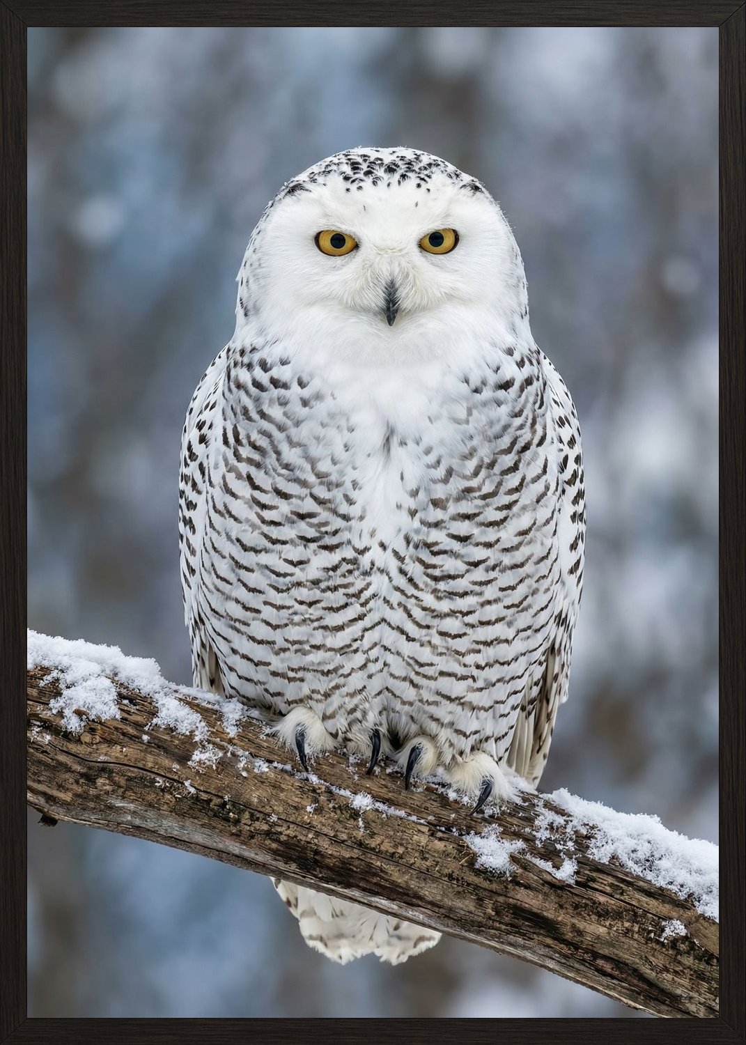 Poster in black frame