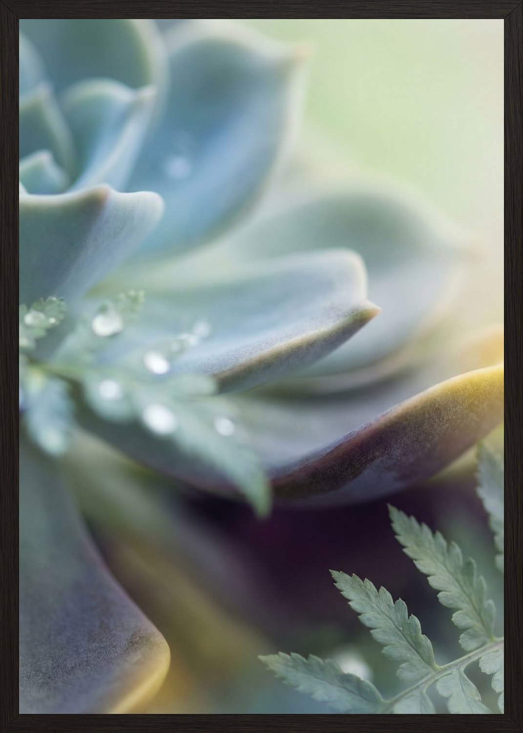 Poster in black frame