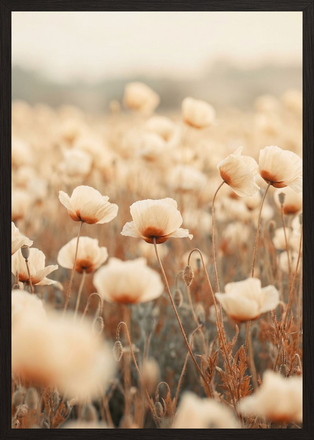 Poster in black frame