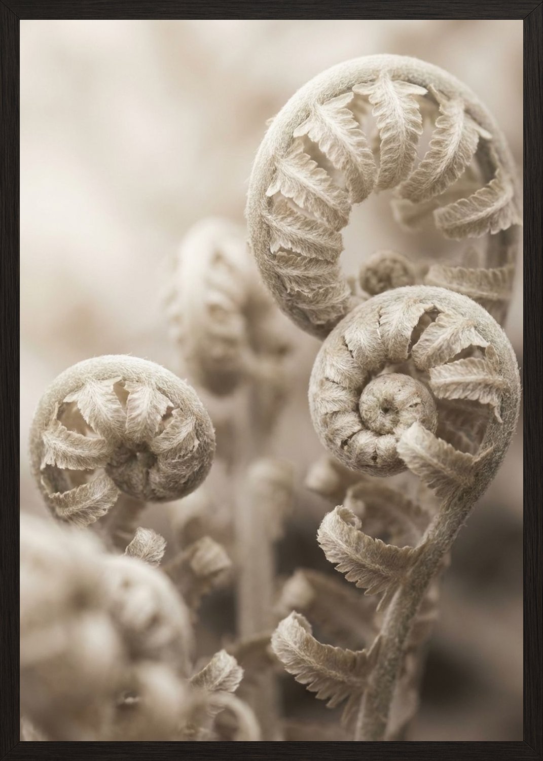 Poster in black frame