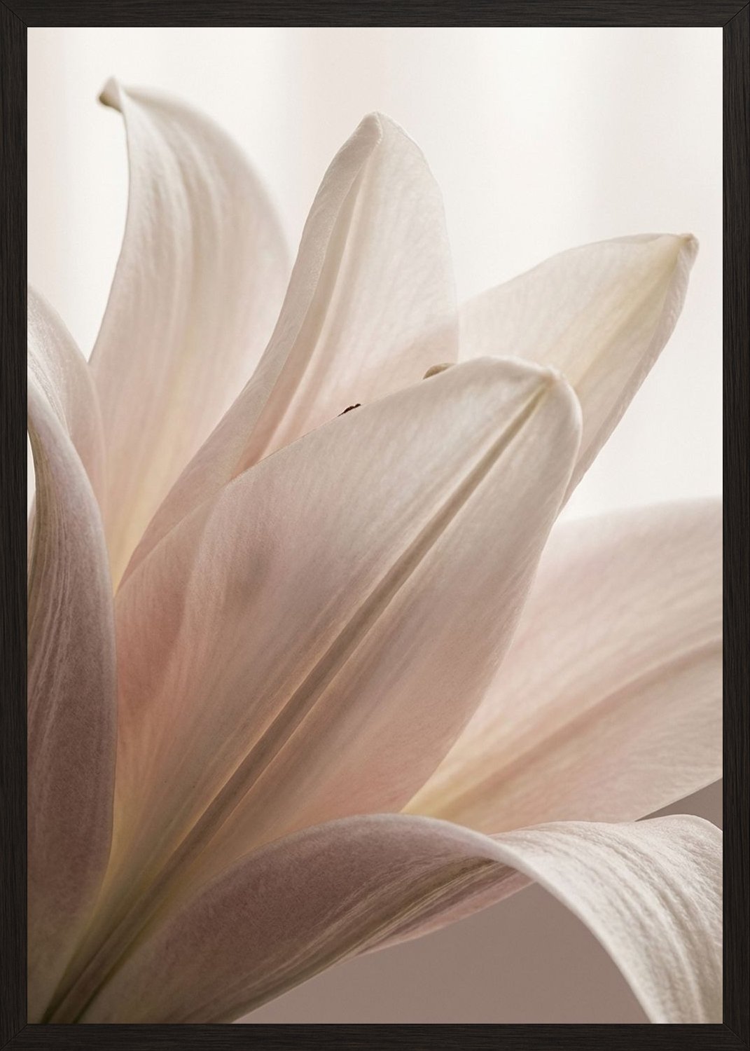 Poster in black frame