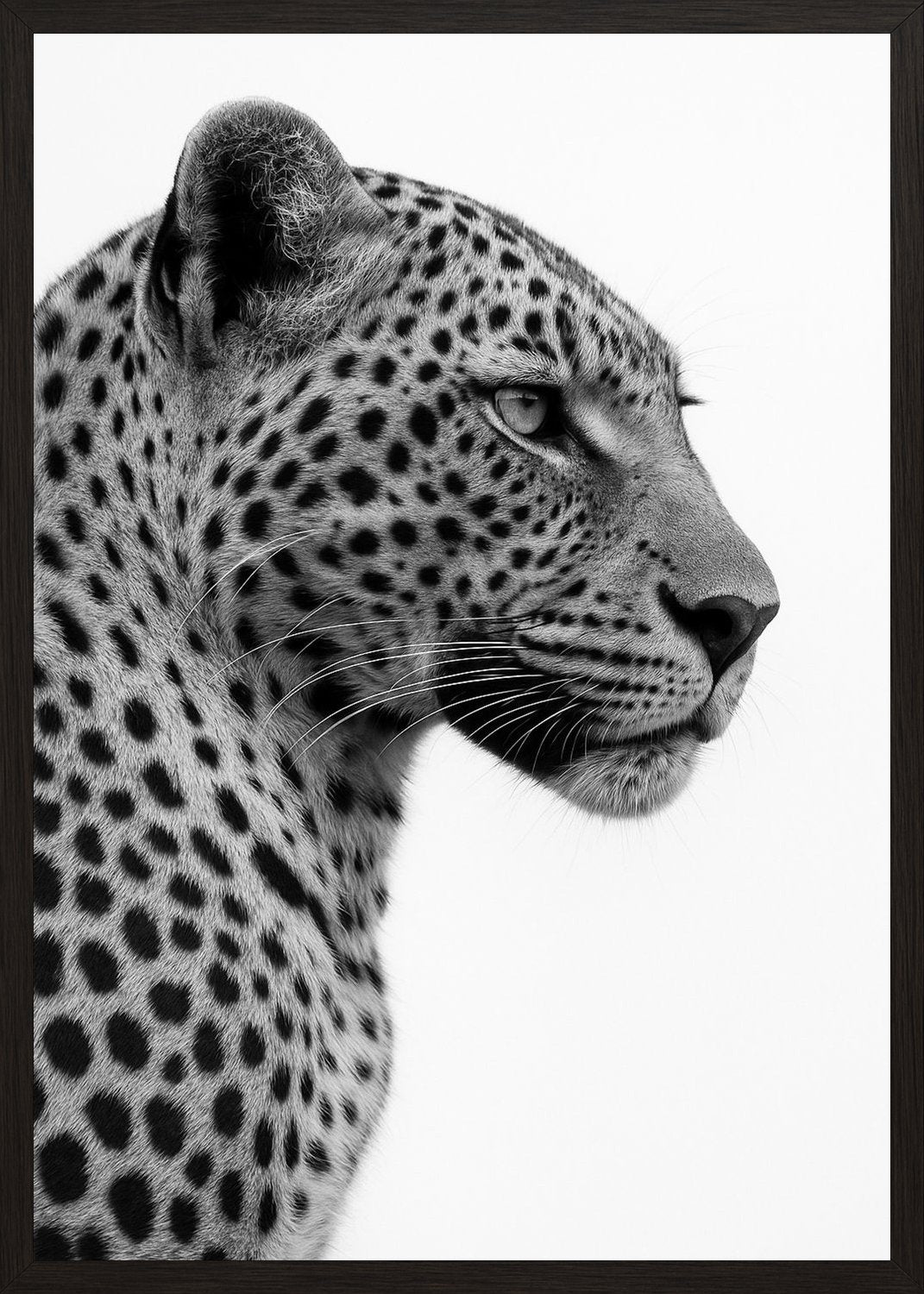 Poster in black frame