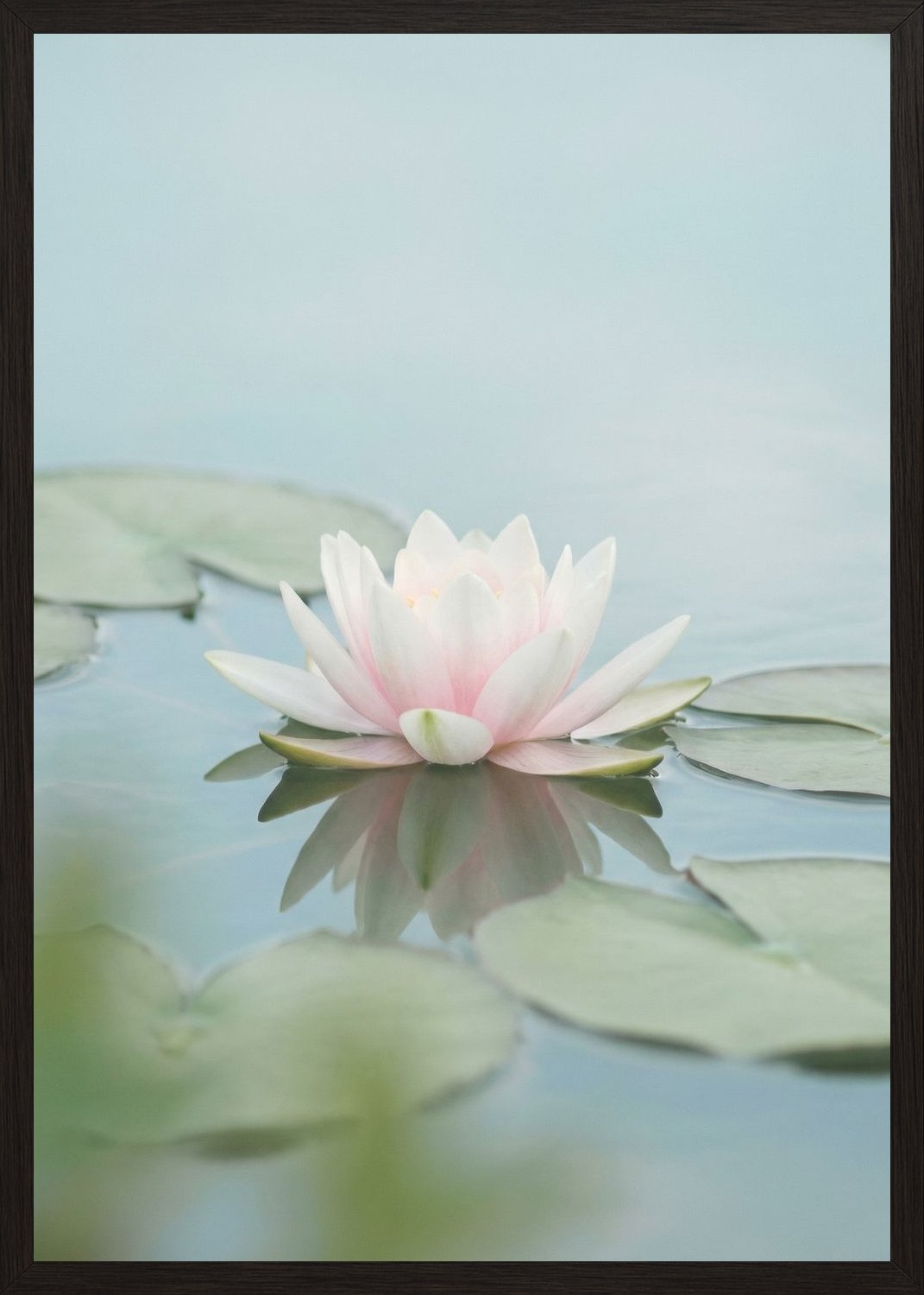 Poster in black frame