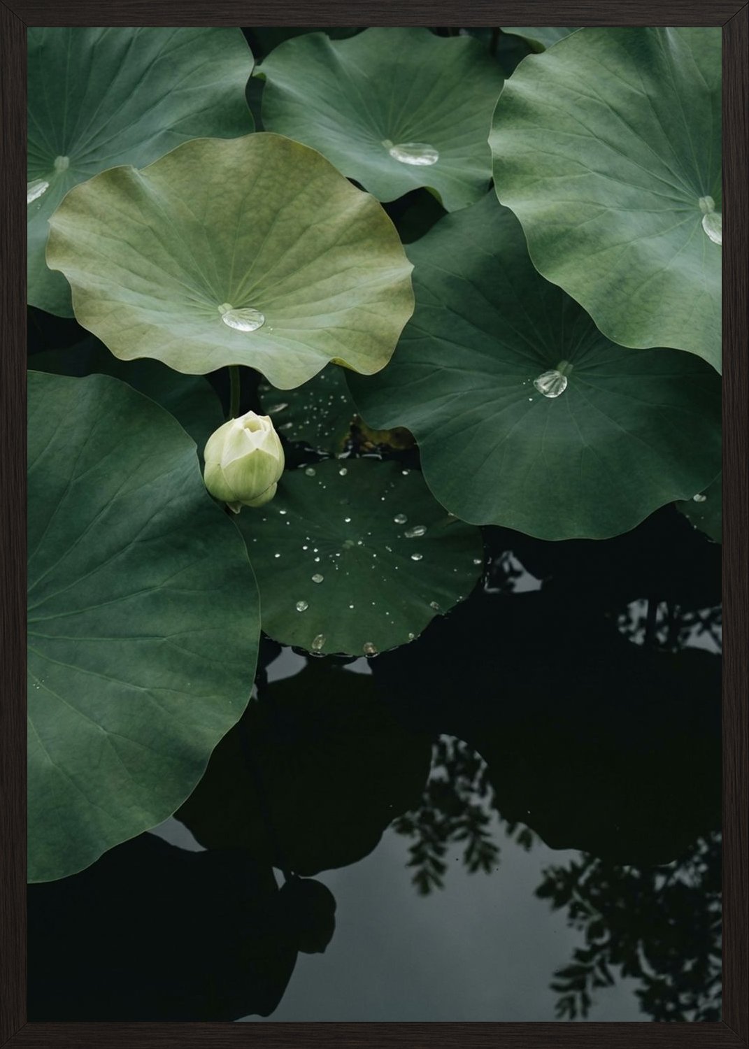 Poster in black frame