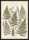 Poster in black frame