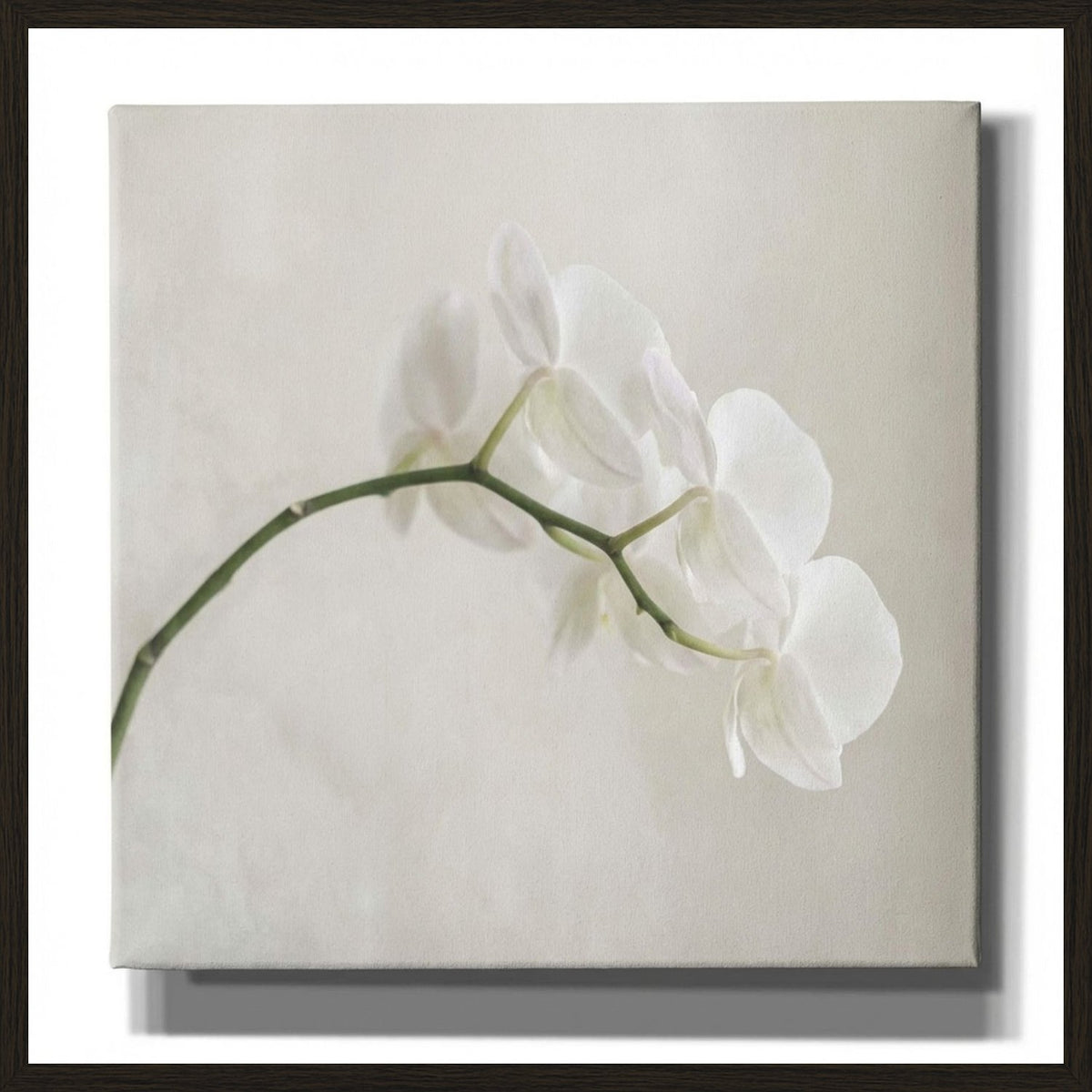 Poster in black frame