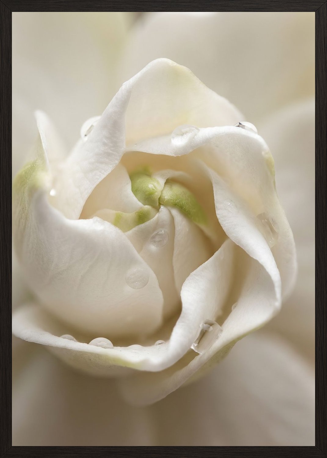 Poster in black frame