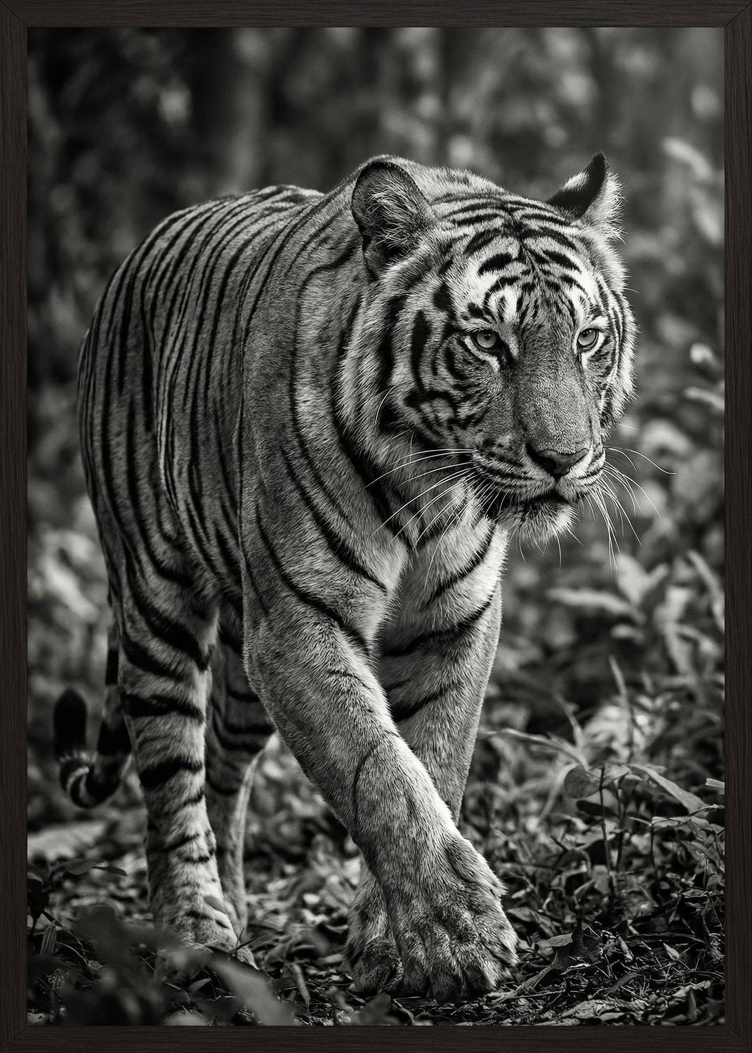 Poster in black frame