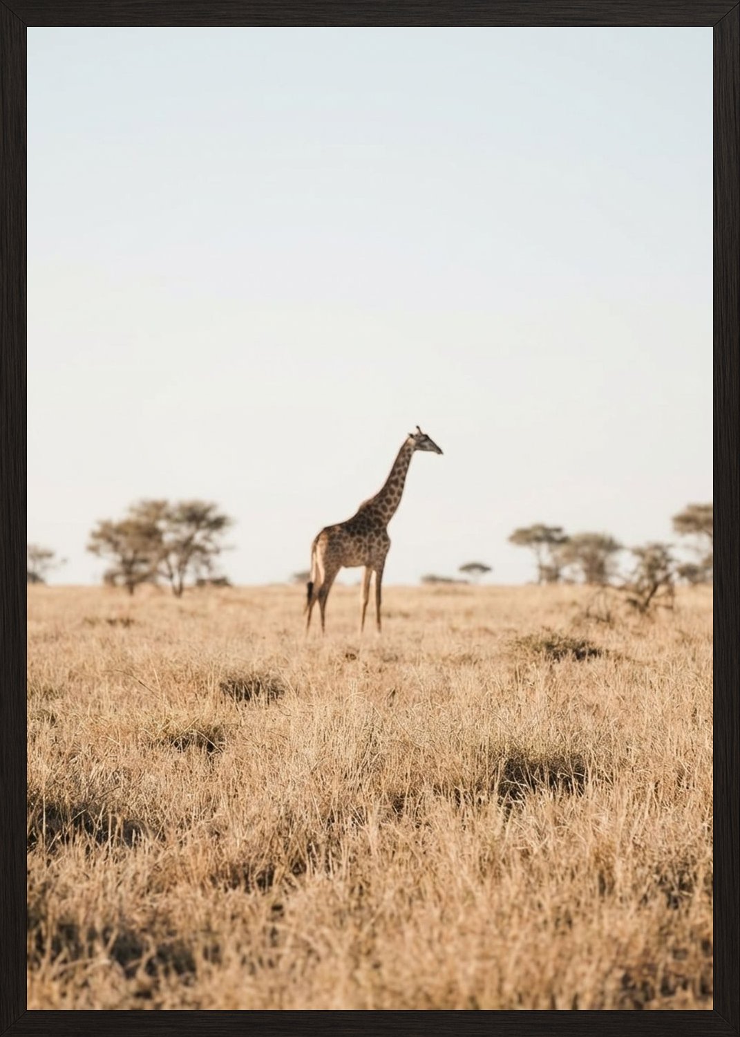 Poster in black frame