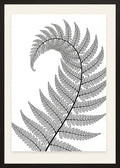 Poster in black frame