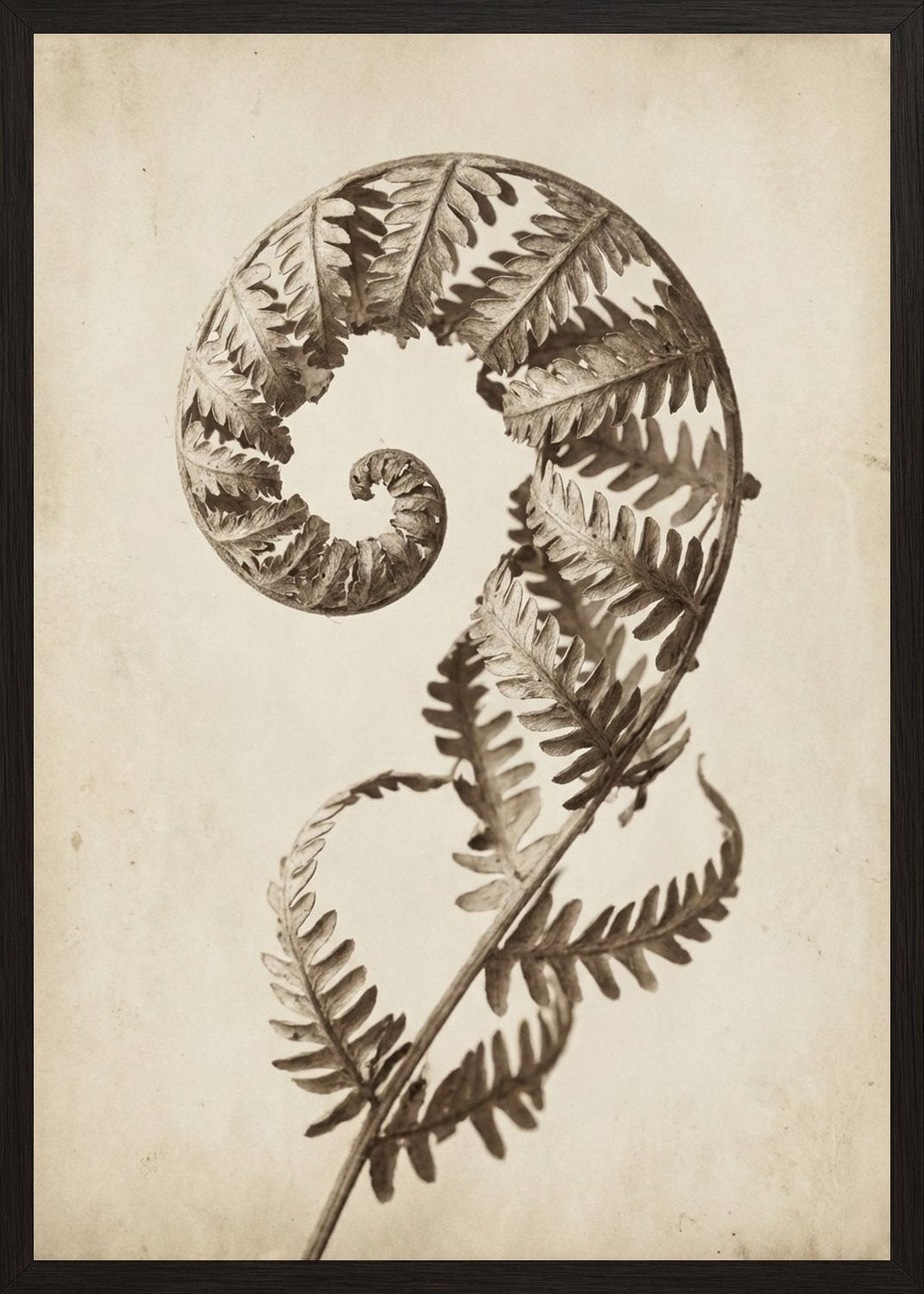 Poster in black frame