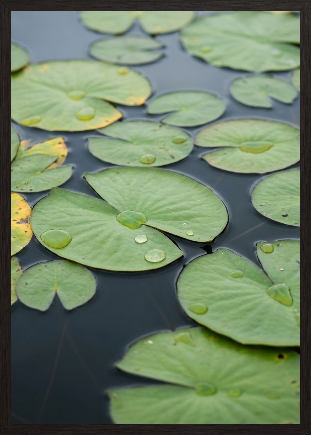 Poster in black frame