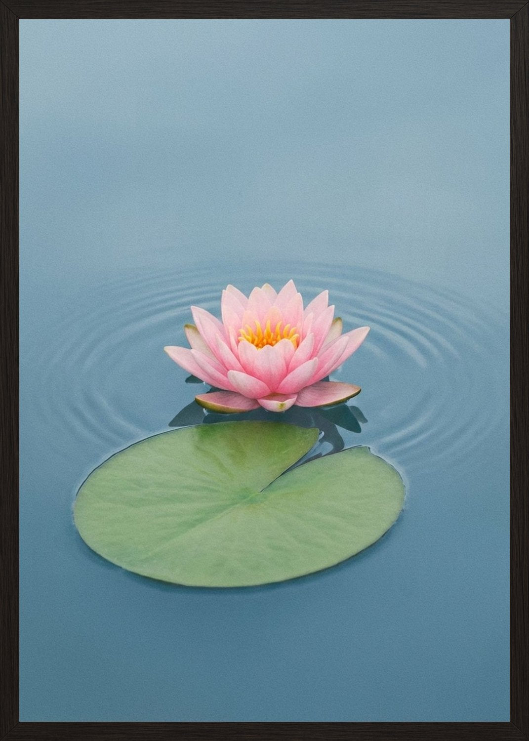 Poster in black frame