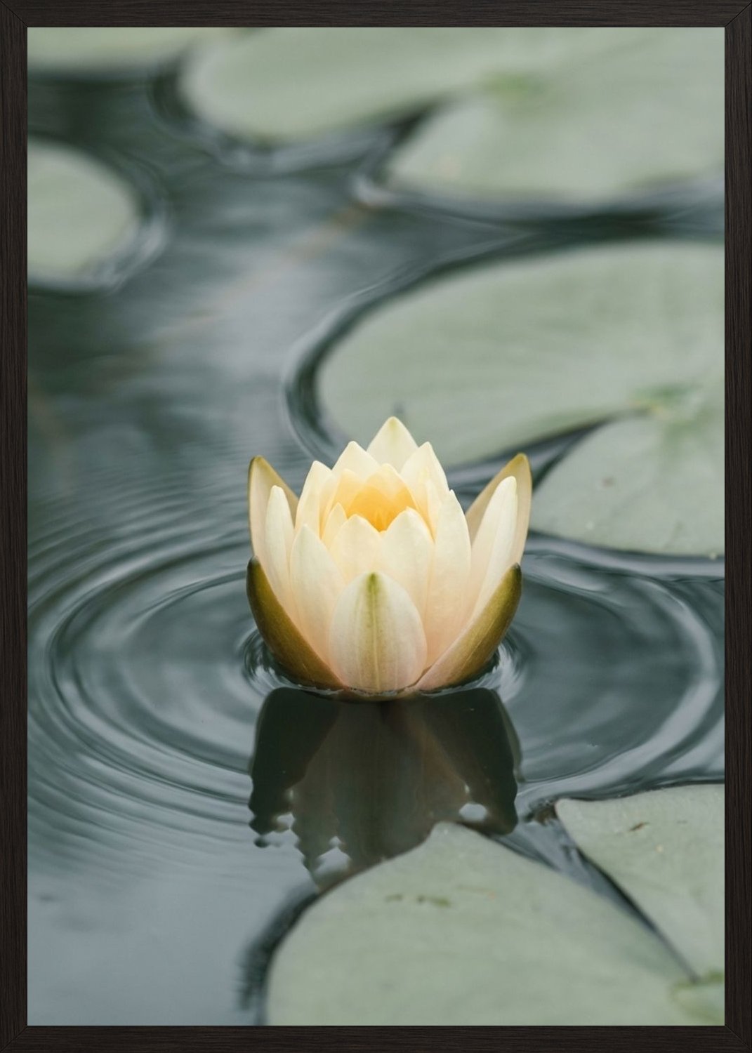 Poster in black frame