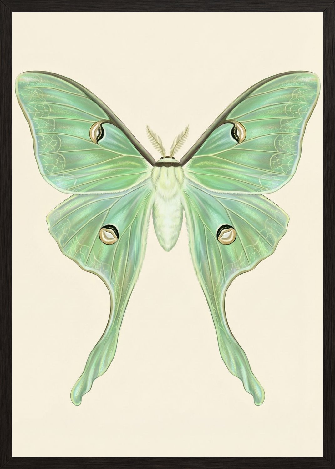 Poster in black frame