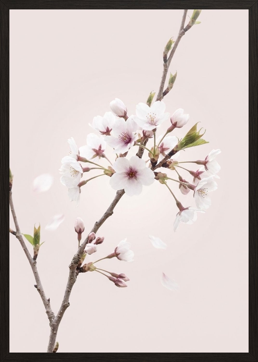 Poster in black frame