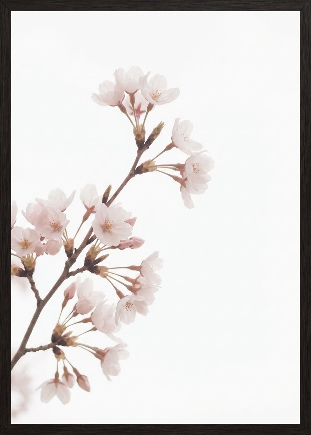 Poster in black frame