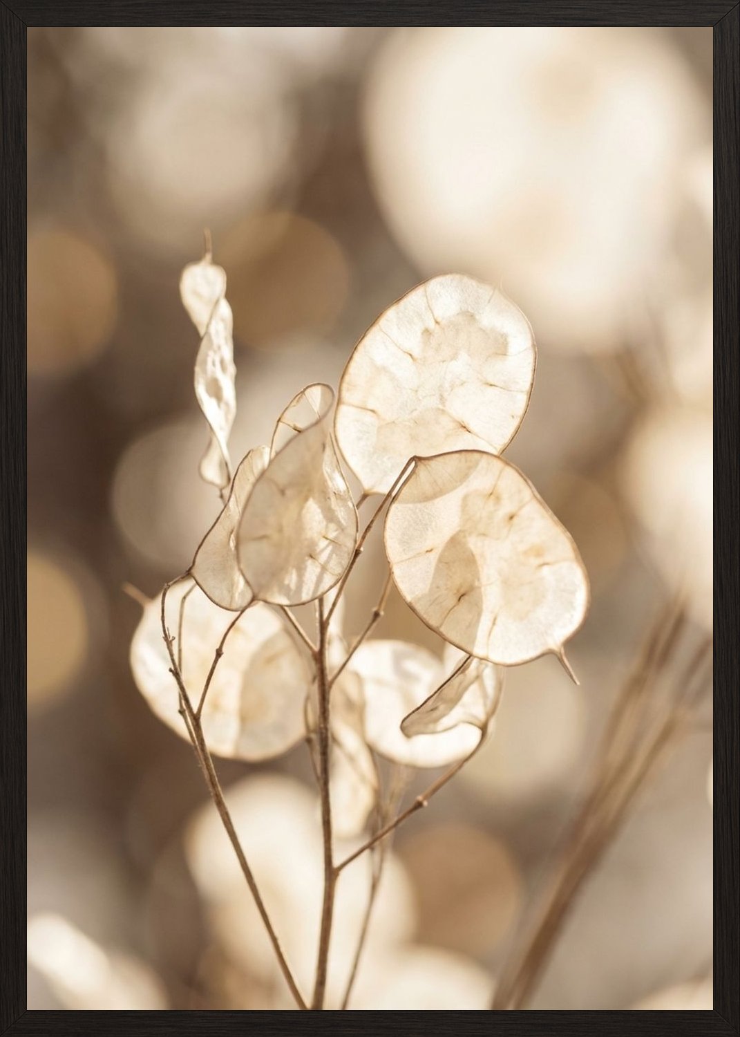 Poster in black frame