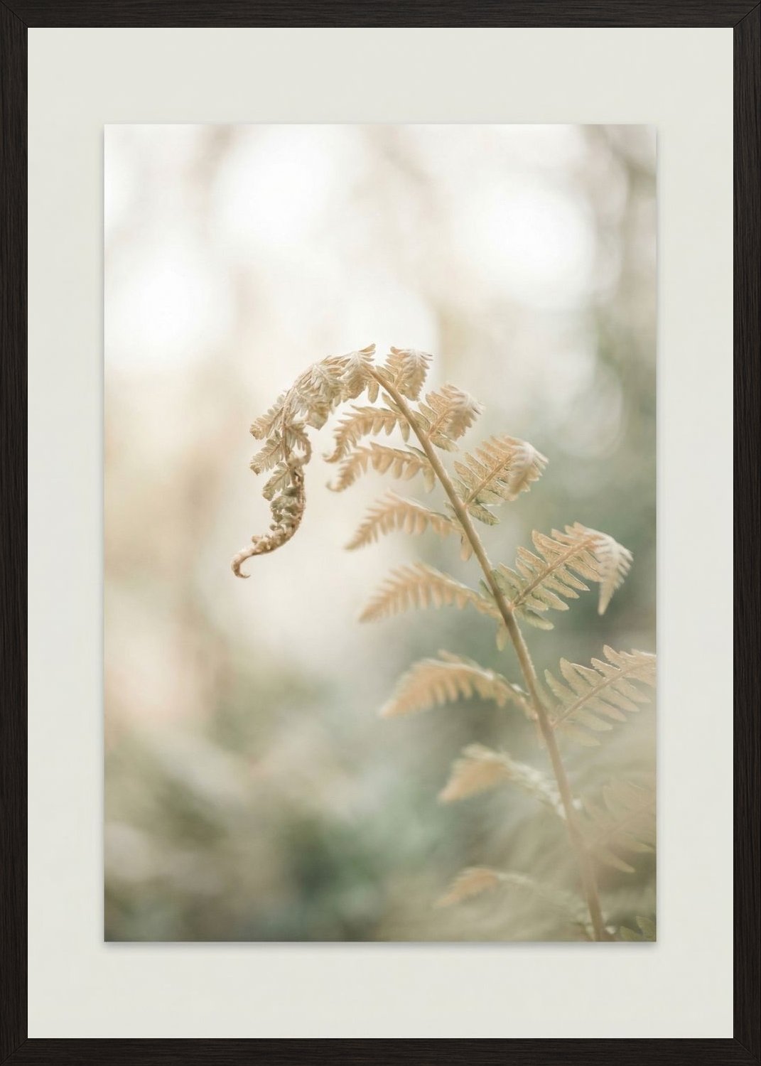 Poster in oak frame