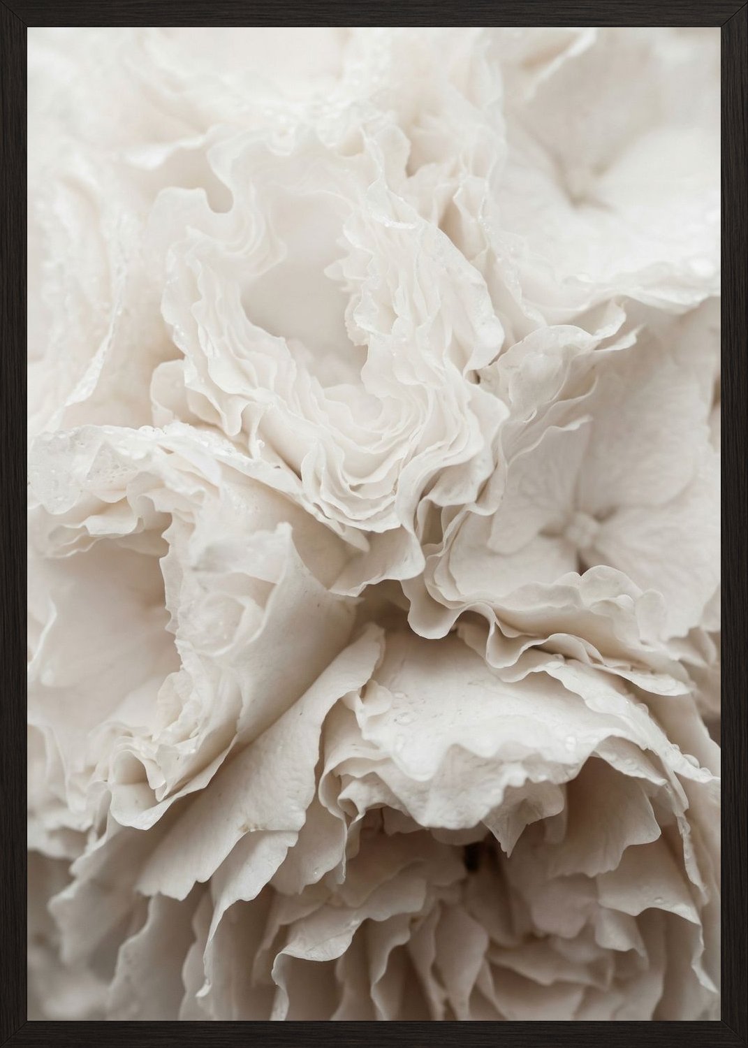 Poster in black frame