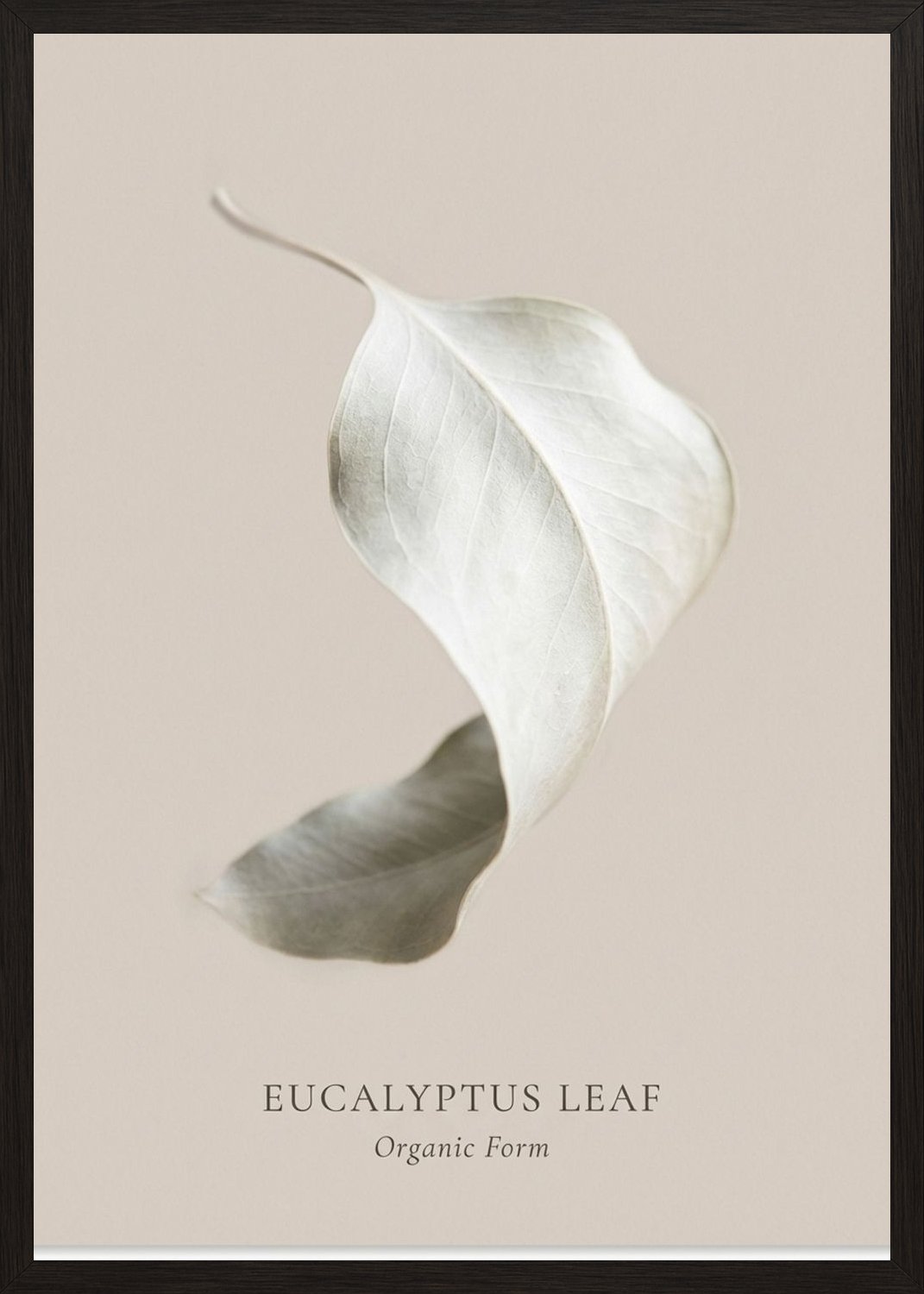 Poster in black frame