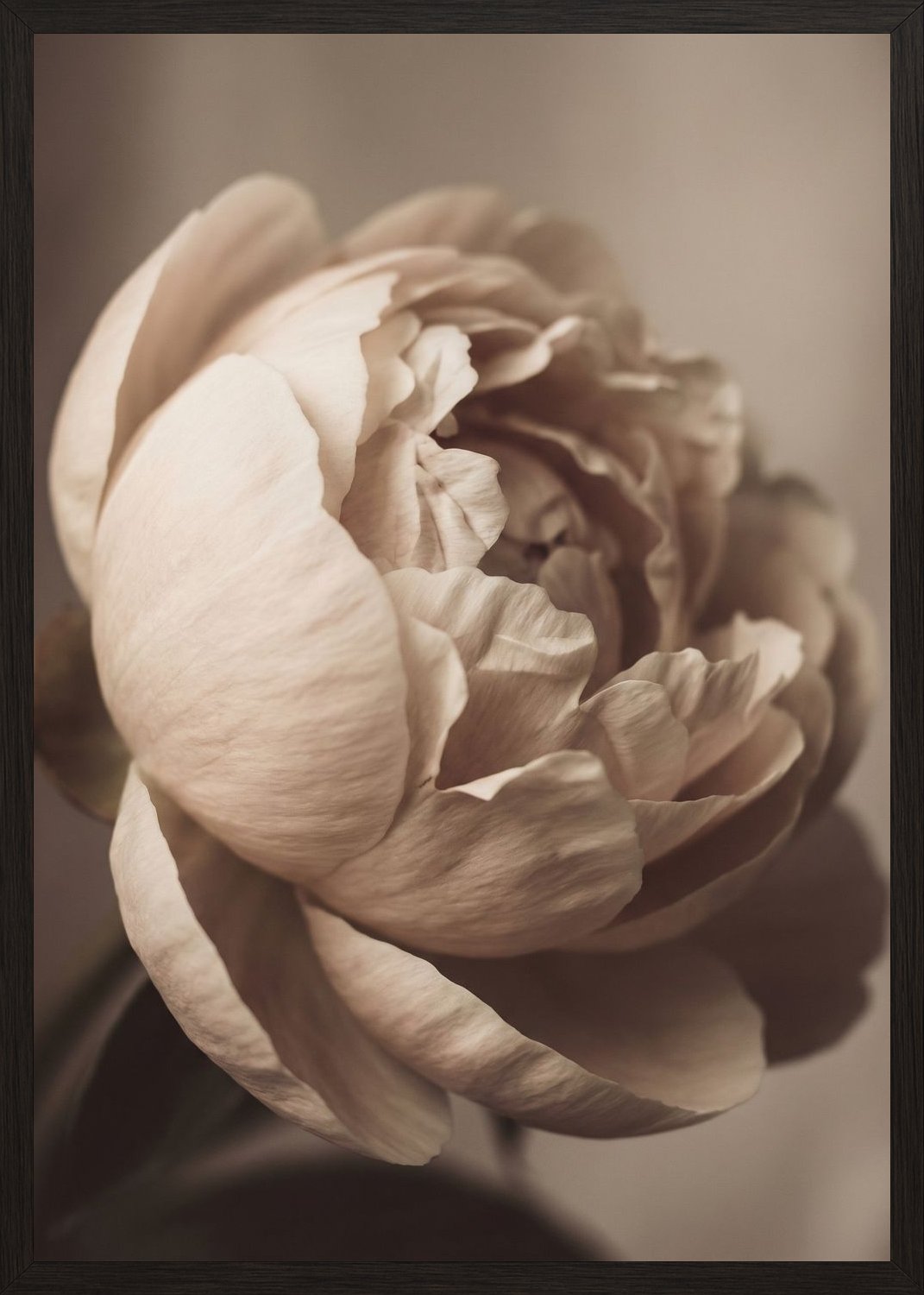 Poster in black frame