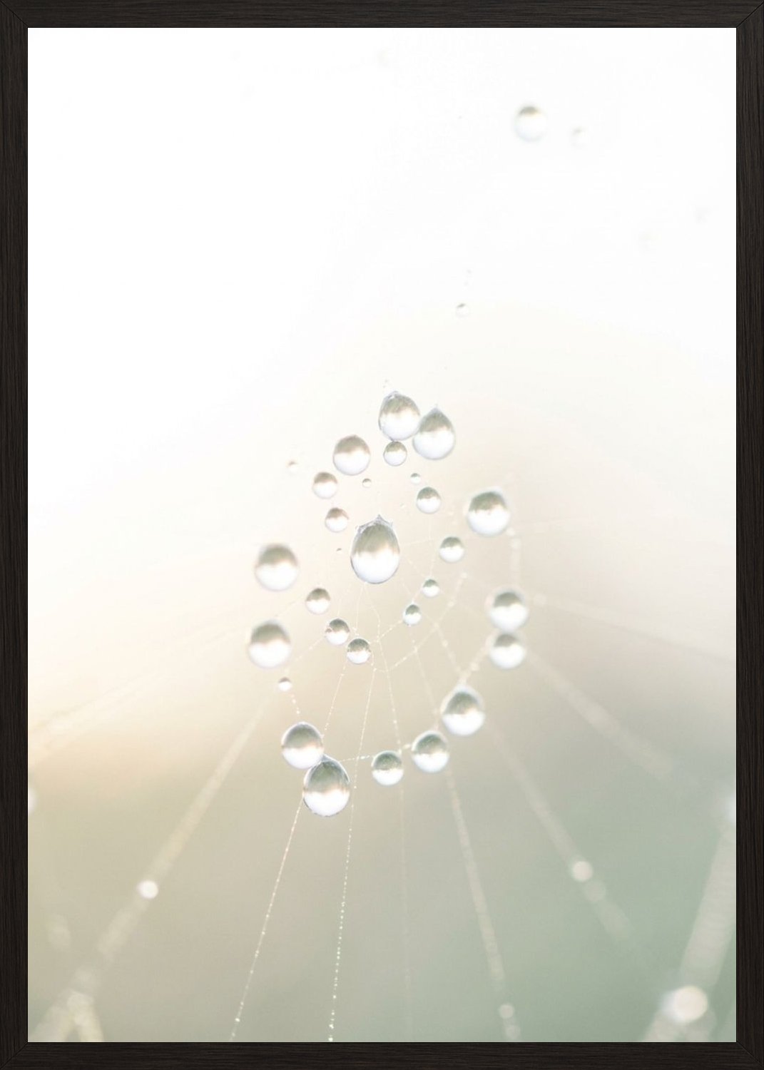 Poster in black frame