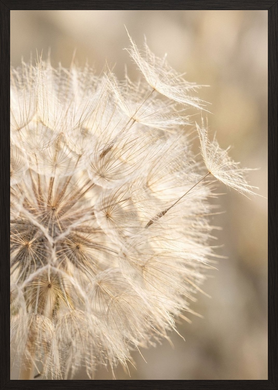 Poster in black frame