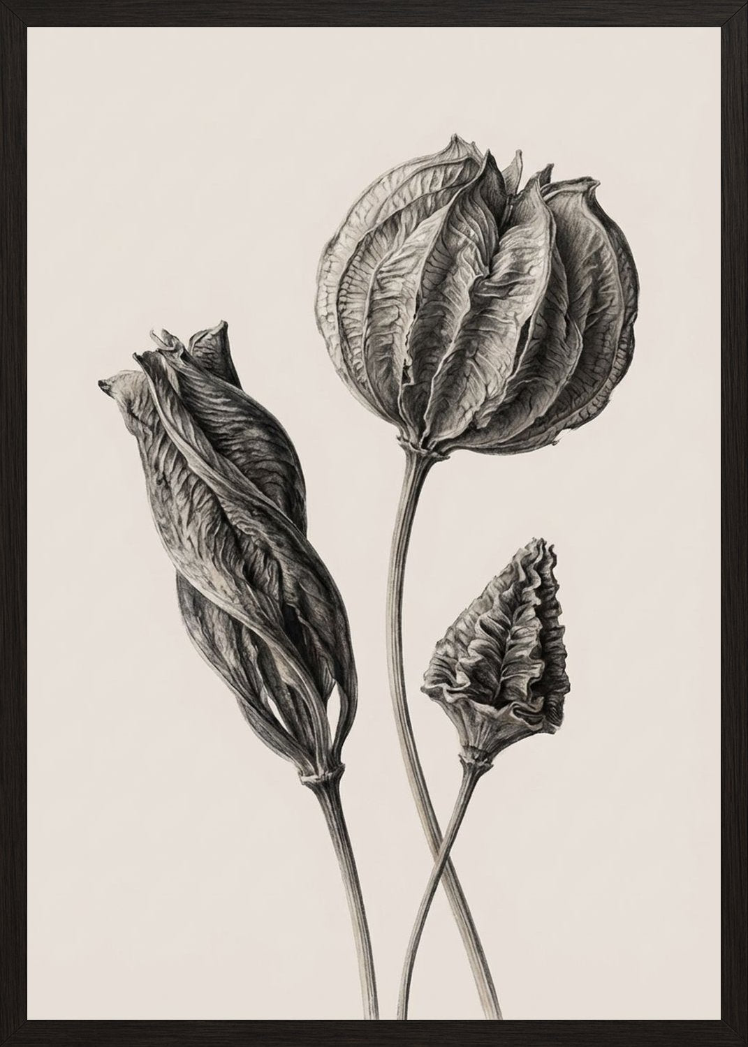 Poster in black frame