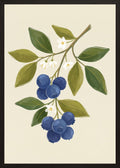 Poster in black frame
