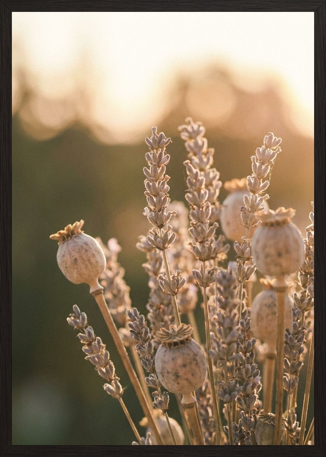 Poster in black frame