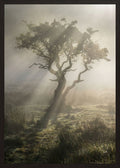 Poster in black frame