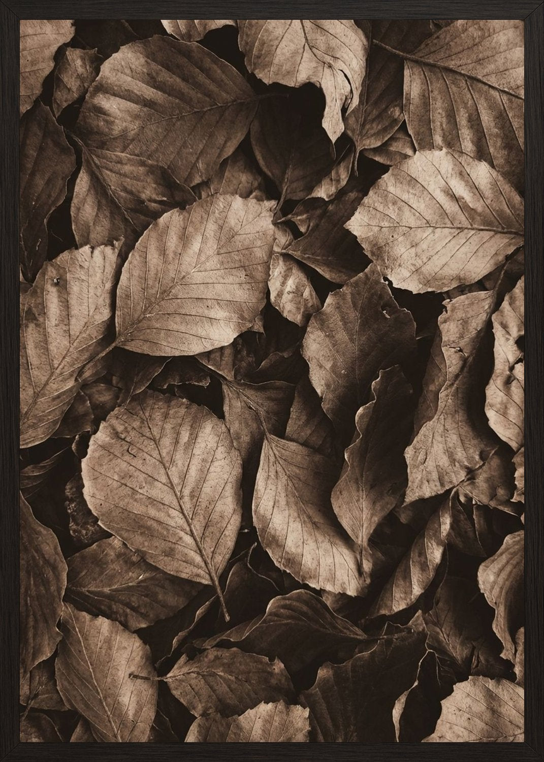 Poster in black frame