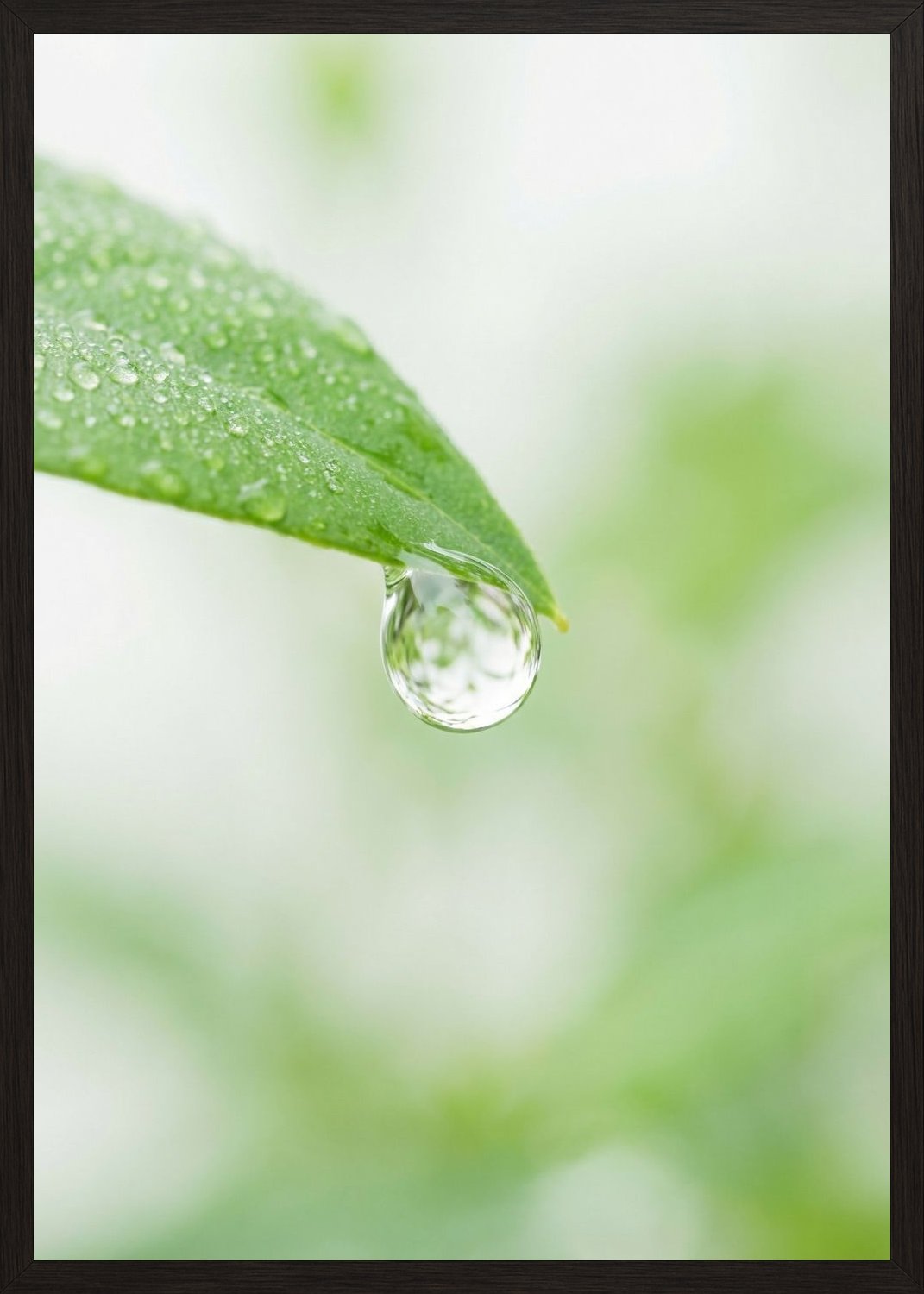 Poster in black frame