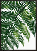 Poster in black frame