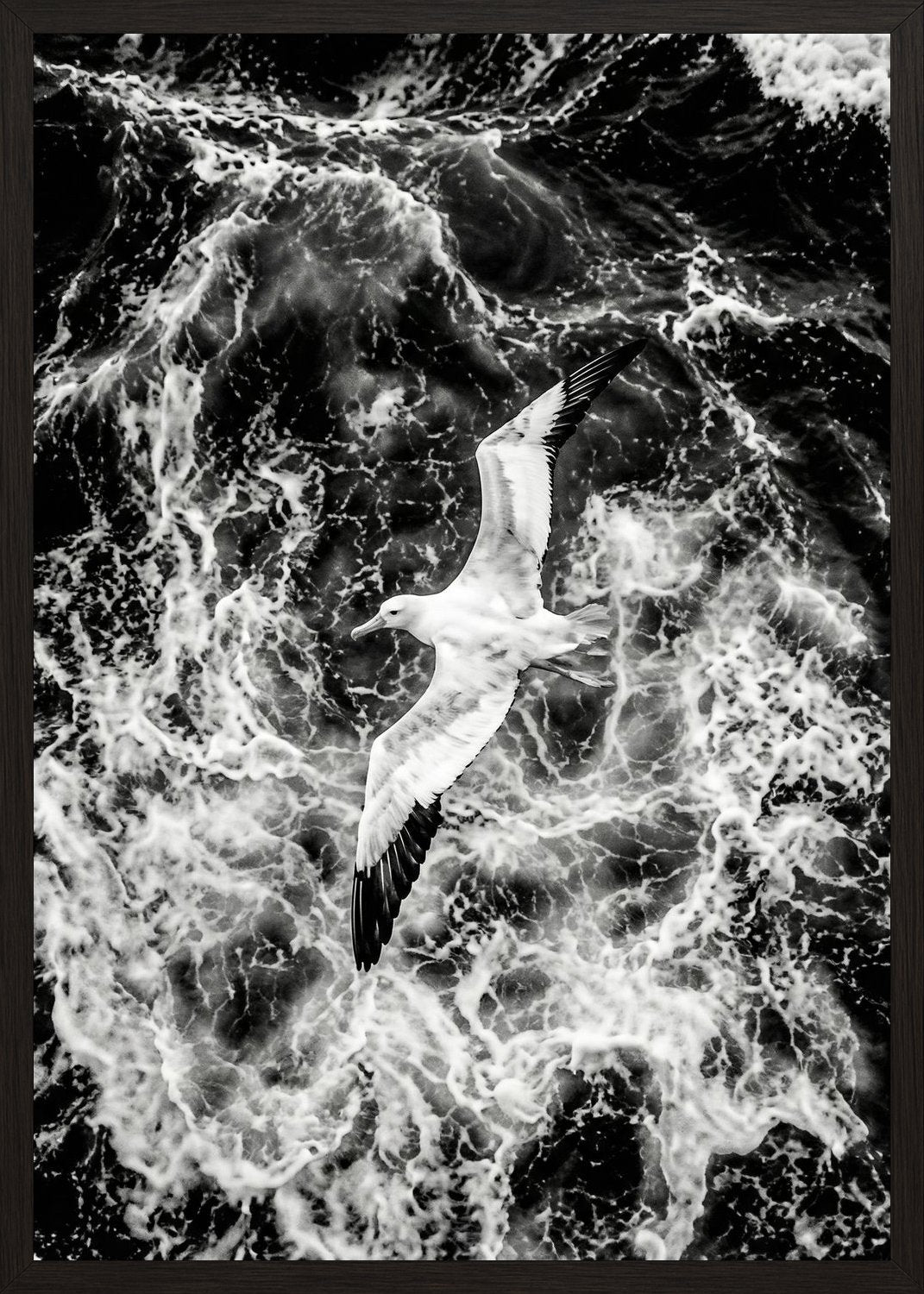 Poster in black frame