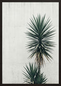 Poster in oak frame
