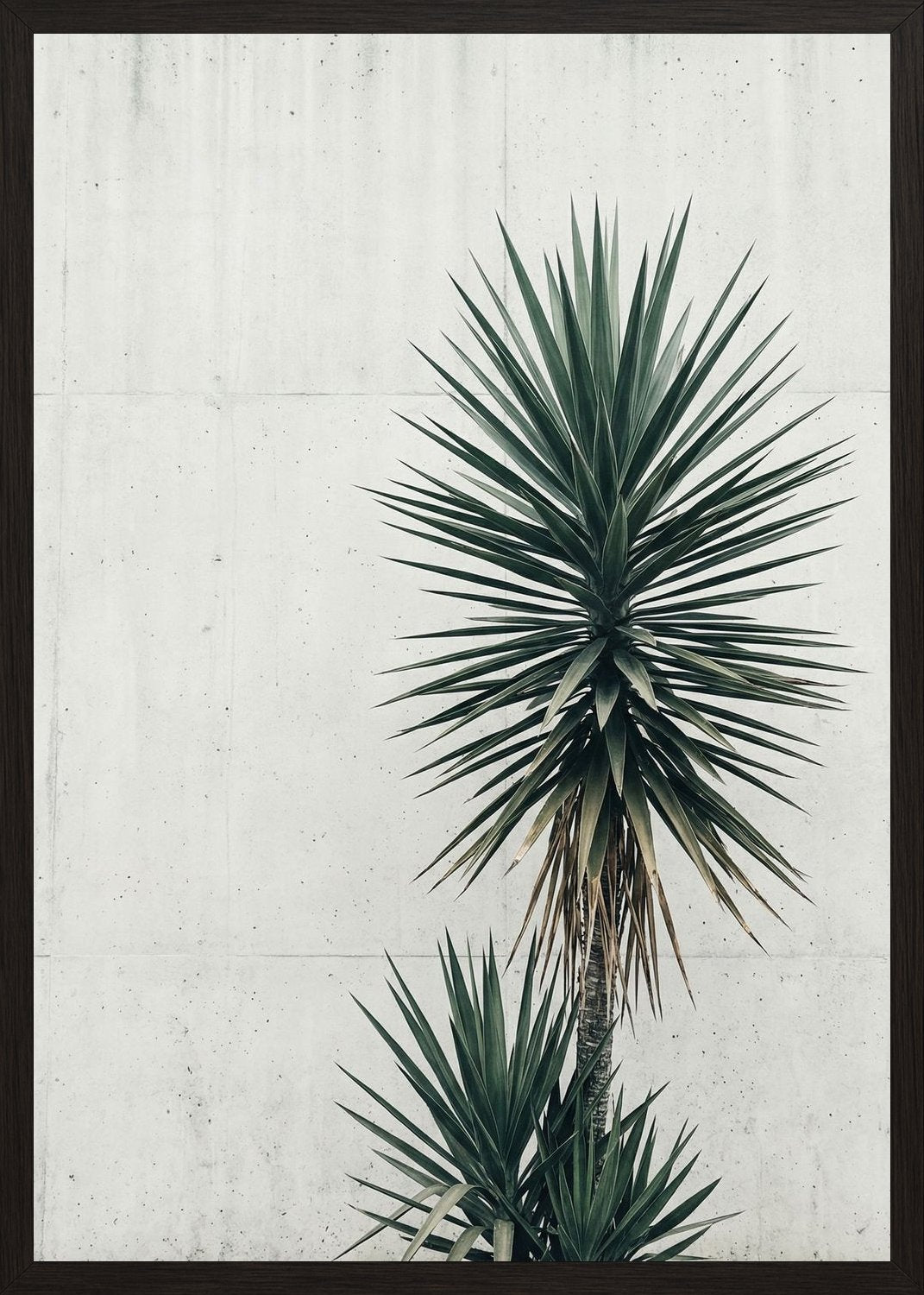 Poster in black frame