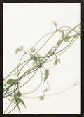 Poster in black frame