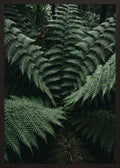 Poster in black frame