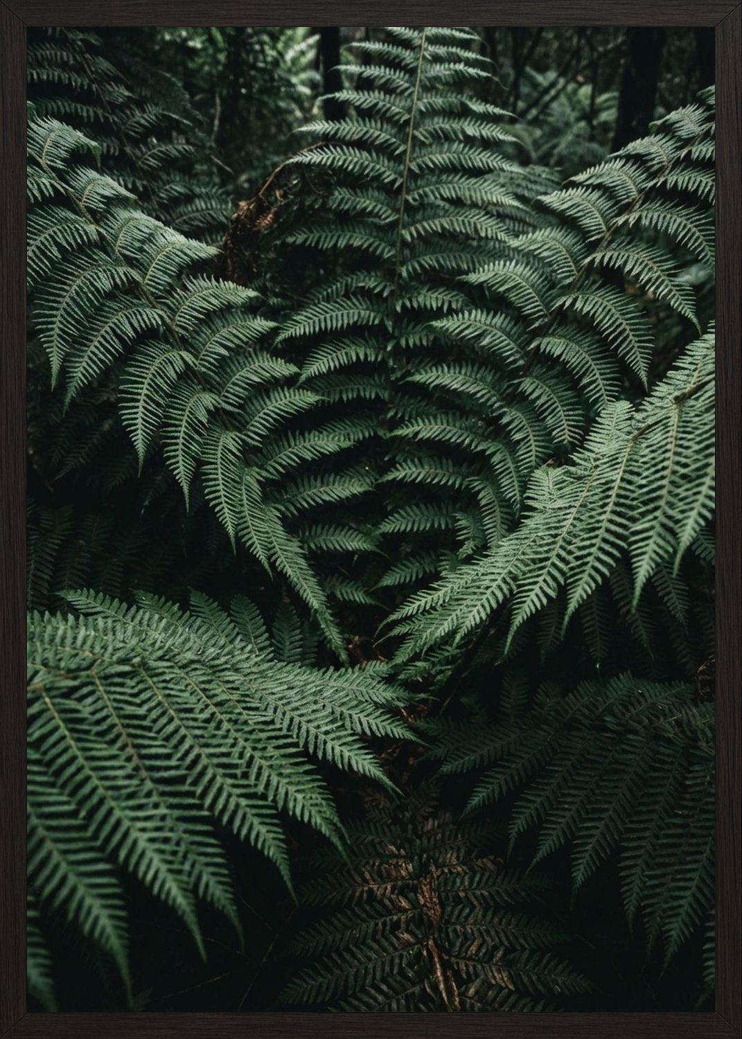 Poster in black frame