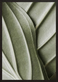 Poster in black frame