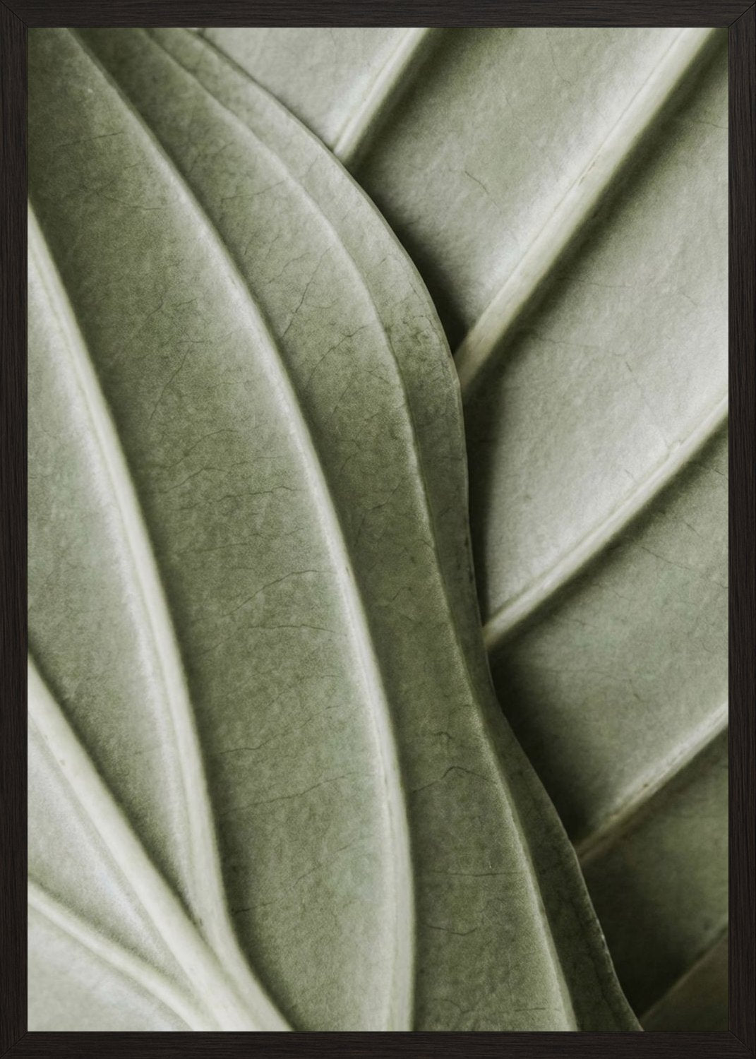 Poster in black frame