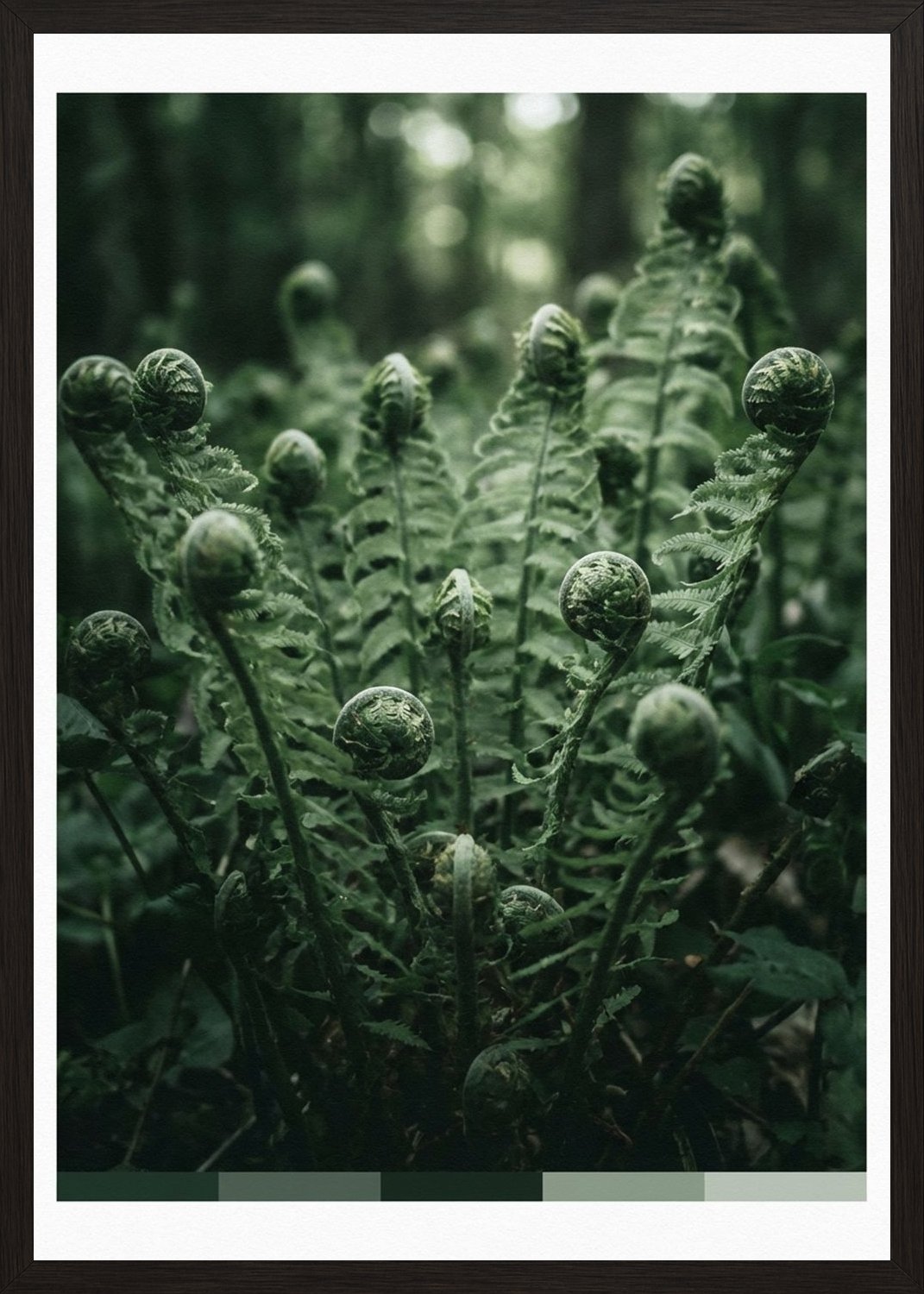 Poster in oak frame