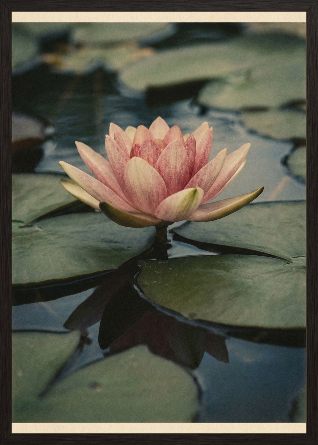 Poster in black frame