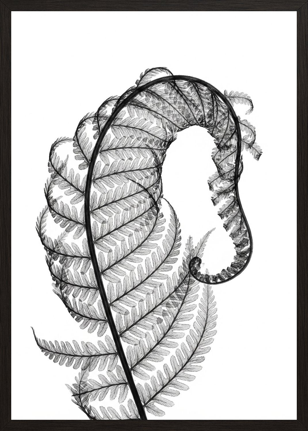 Poster in black frame