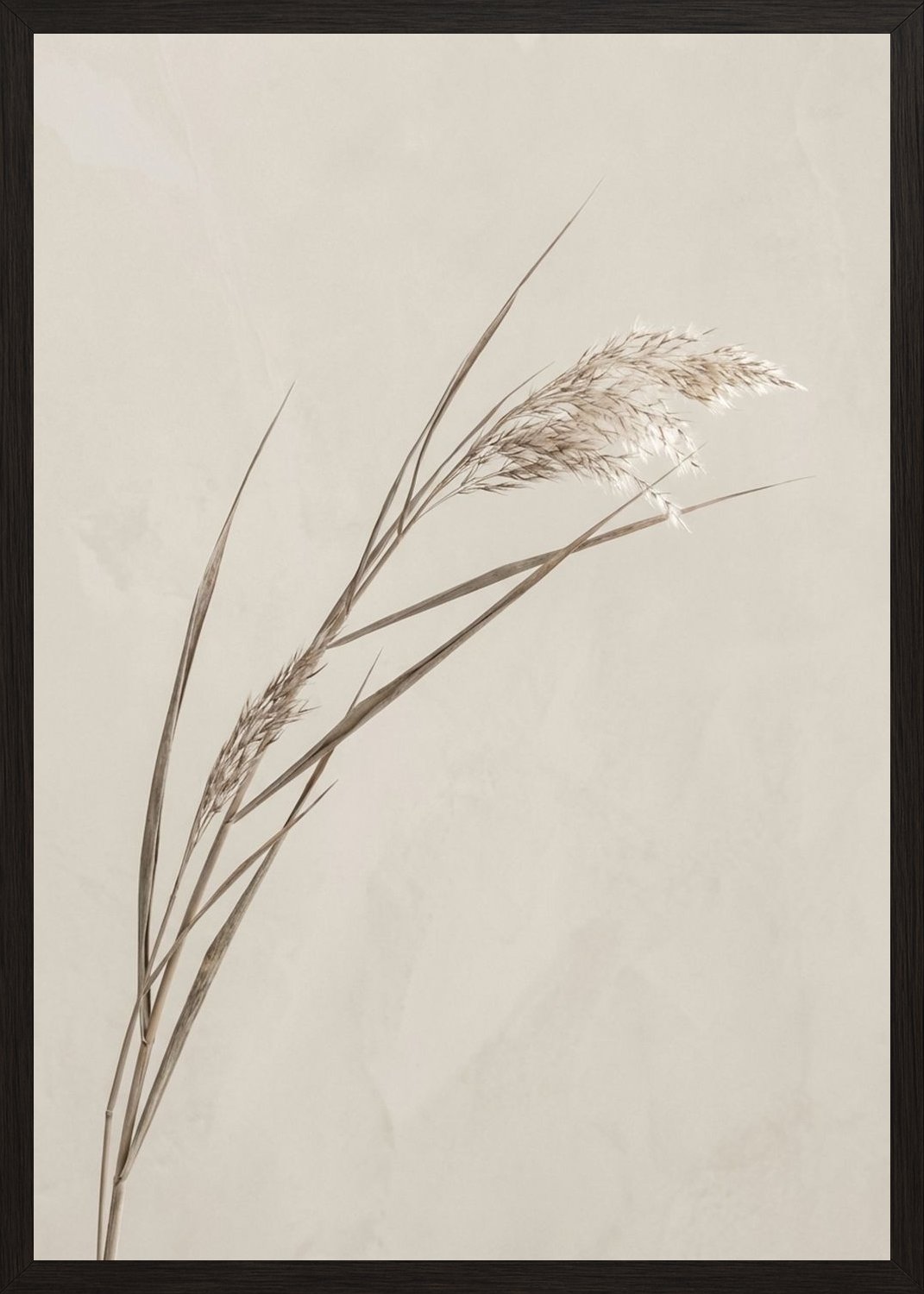 Poster in black frame