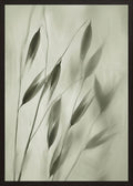 Poster in black frame